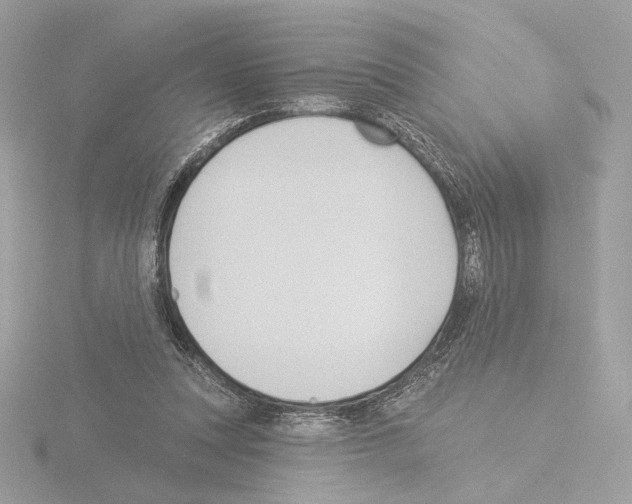 X0000115520351200912181511