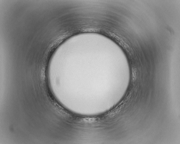 X0000115520353200912181511