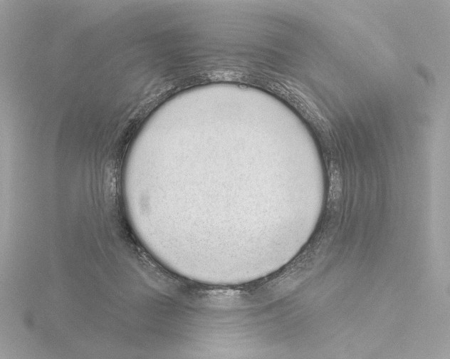 X0000115520363200912181511