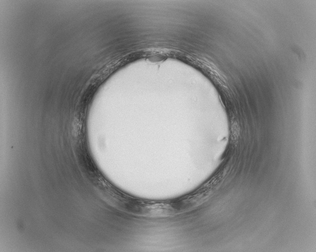 X0000115520365200912181511