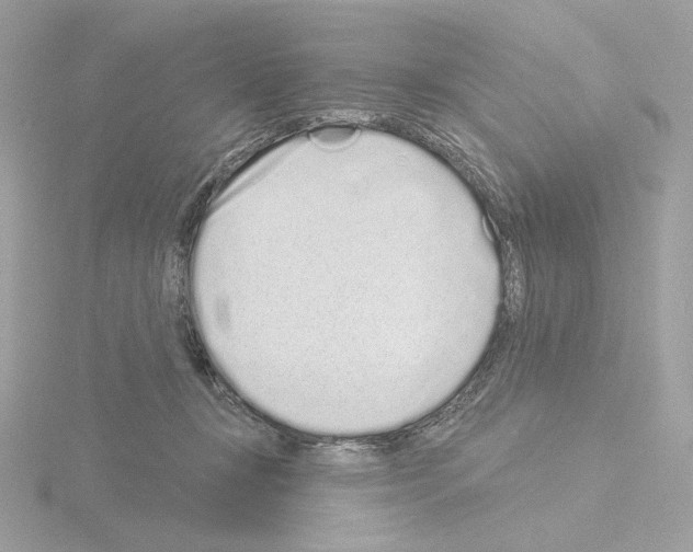 X0000115520367200912181511