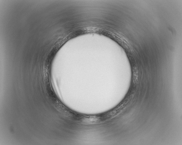 X0000115520369200912181511