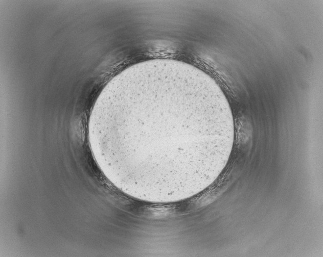 X0000115520370200912181511