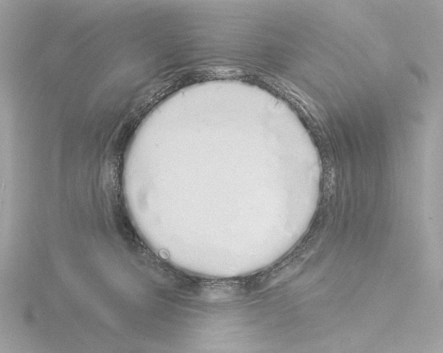 X0000115520373200912181511