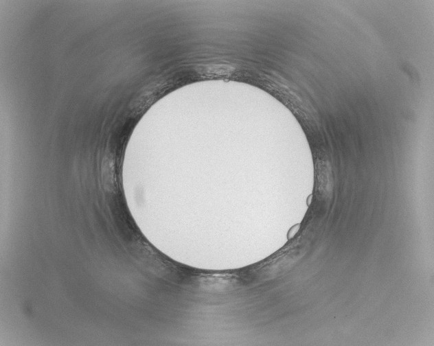 X0000115520378200912181511