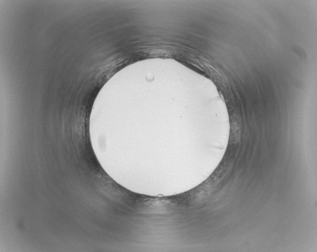 X0000115520379200912181511