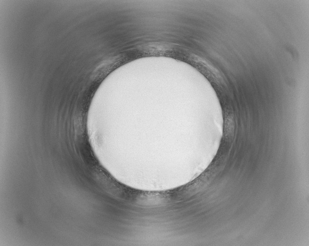 X0000115520381200912181511