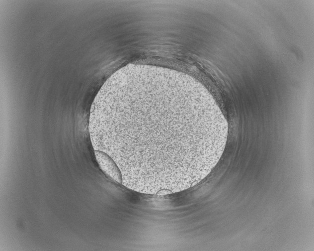 X0000115520383200912181511