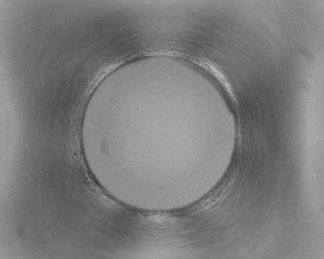 X0000115520385200912181511