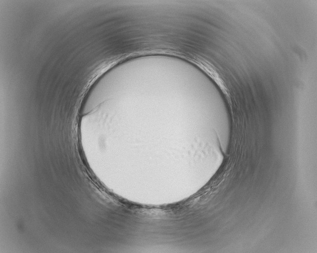 X0000115520389200912181511