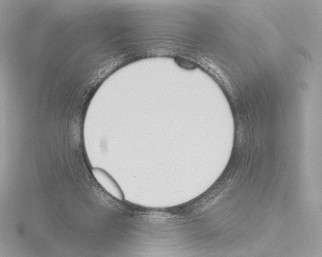 X0000115520393200912181511