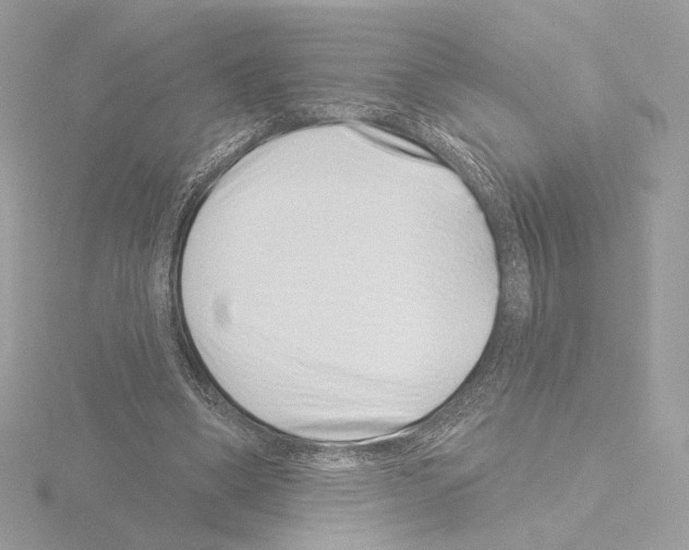 X0000115520394200912181511