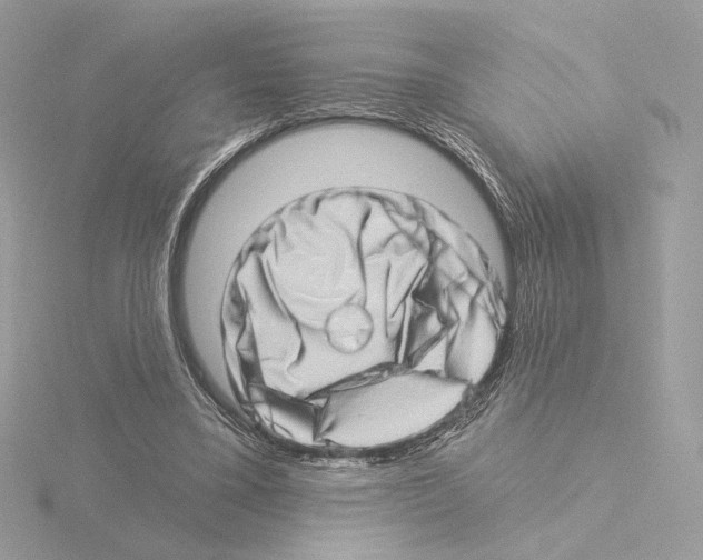 X0000115520395200912181511