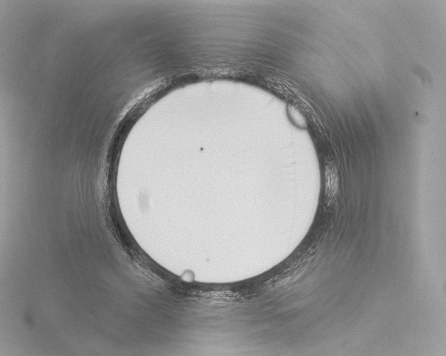 X0000115520396200912181511