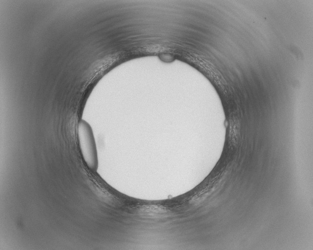 X0000115520397200912181511