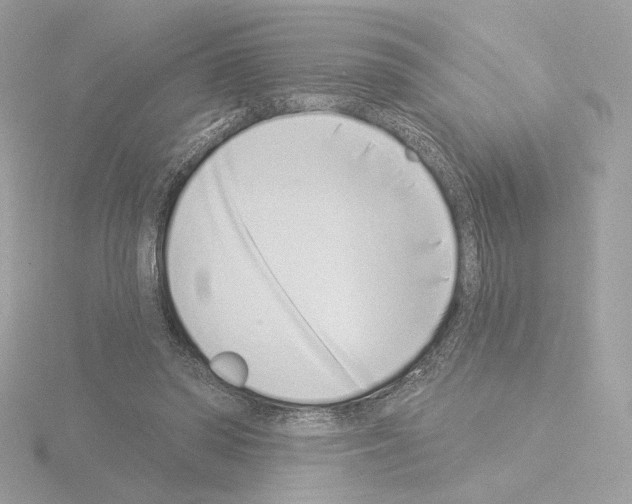 X0000115520398200912181511