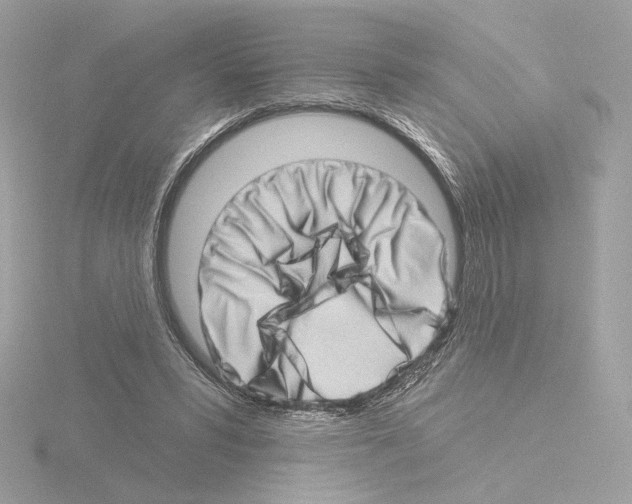 X0000115520399200912181511