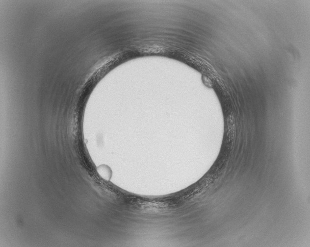 X0000115520400200912181511