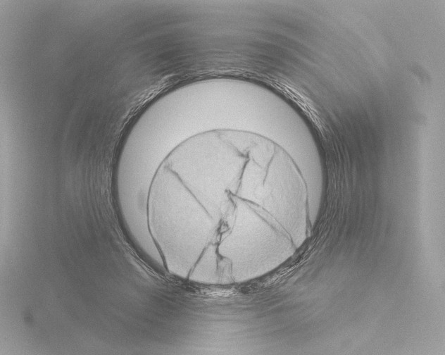 X0000115520401200912181511