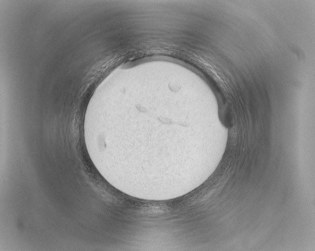 X0000115520402200912181511