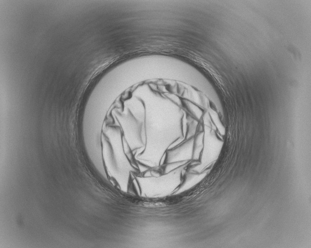 X0000115520403200912181511