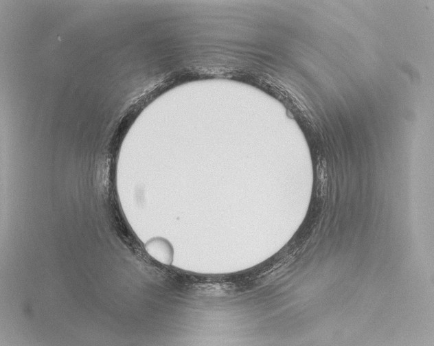 X0000115520404200912181511