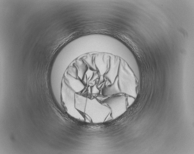 X0000115520405200912181511