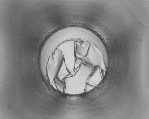 X0000115520407200912181510