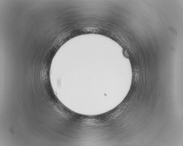 X0000115520408200912181510