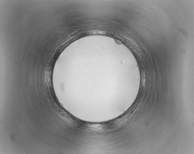 X0000115520409200912181510