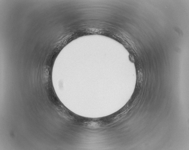 X0000115520412200912181510