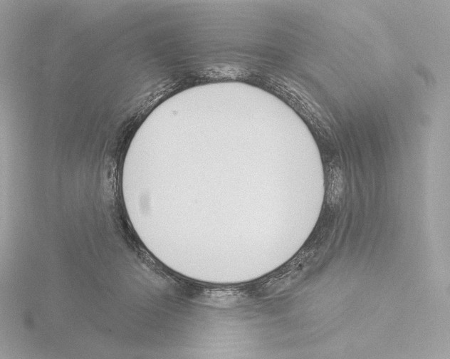 X0000115520414200912181510