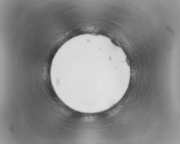 X0000115520416200912181510