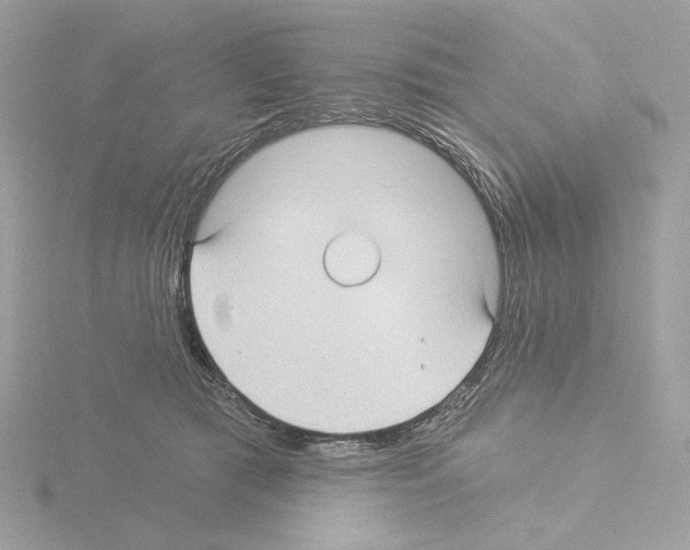 X0000115520417200912181510