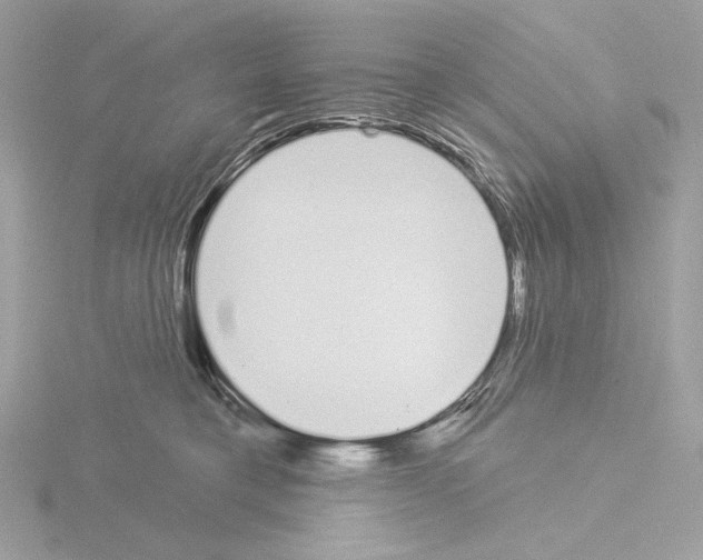 X0000115520421200912181510