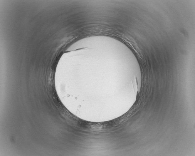 X0000115520423200912181510