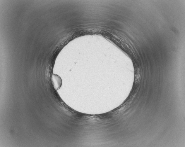 X0000115520424200912181510