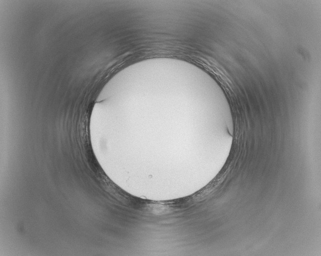 X0000115520425200912181510