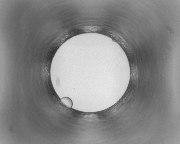 X0000115520426200912181510