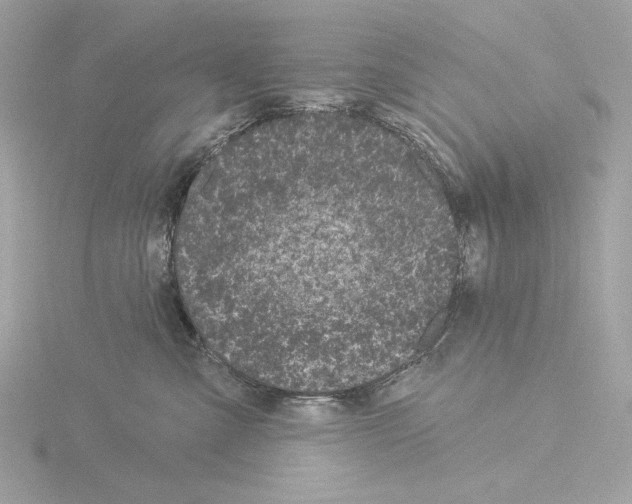 X0000115520427200912181510