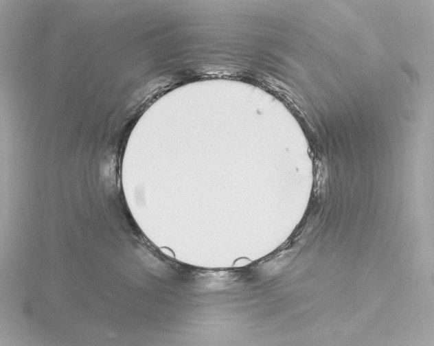 X0000115520428200912181510