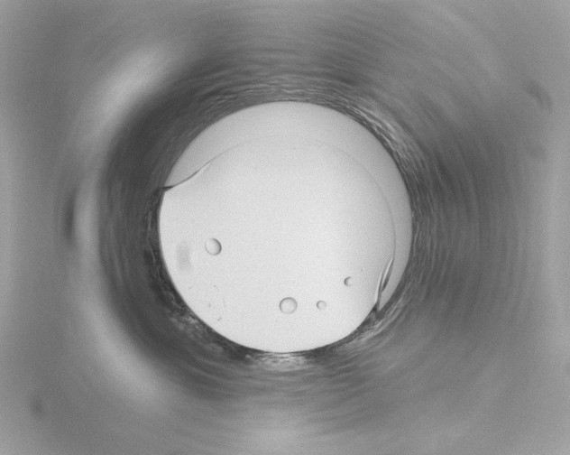 X0000115520429200912181510