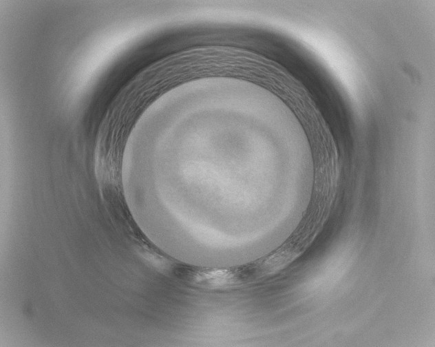 X0000115520431200912181510