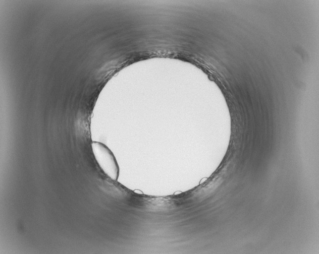 X0000115520432200912181510