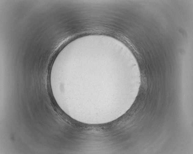 X0000115520434200912181510