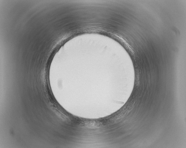 X0000115520439200912181510