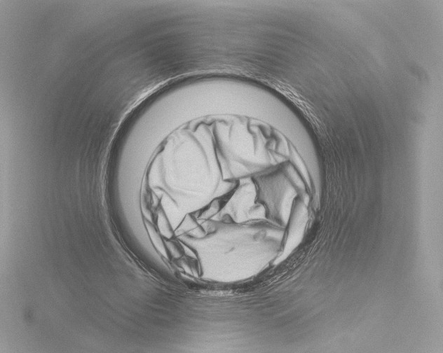 X0000115520440200912181510