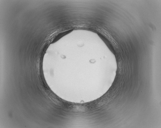 X0000115520442200912181510