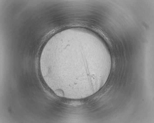 X0000115520445200912181510