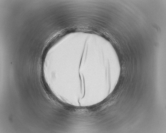 X0000115520446200912181510